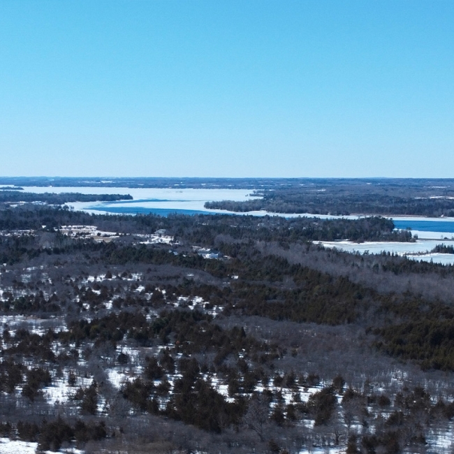 pigeon lake march 17